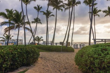 Gün batımında Atlantik Okyanusu 'nun kenarında dramatik bulutlu gökyüzü altında uzun palmiye ağaçları ve plaj kabinleri. Dominik Cumhuriyeti. Punta Cana. 