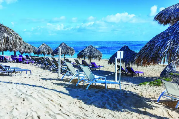Atlantik Okyanusu 'nun temiz manzaralı kumlu sahilde çoklu saman şemsiyeler ve şezlonglar. Dominik Cumhuriyeti. Punta Cana. 