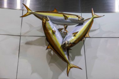 Miami Uluslararası Havaalanı 'nın içindeki fayanslı duvara monte edilmiş üç ton balığı heykeli..