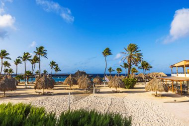 Palmiye ağaçları, sazdan şemsiyeler, şezlonglar ve Karayip Denizi ufku manzaralı güneşli bir sahil.. 
