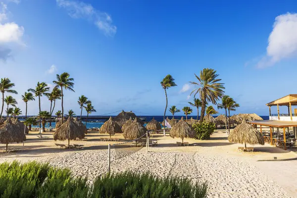 Palmiye ağaçları, sazdan şemsiyeler, şezlonglar ve Karayip Denizi ufku manzaralı güneşli bir sahil.. 