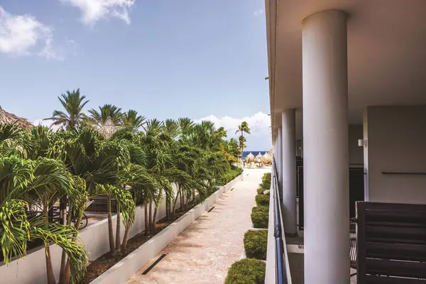 Palmiye ağaçları ve otel binası ile Karayip Denizi yakınlarındaki sahil kulübeleri arasında budanmış çalılar olan patika.. 