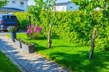 Güzel manzaralı villa bahçe tasarımı manzarası elektrikli araba rhododendron, nonoşlar, çimenler, ağaçlar ve yeşil çitlerle dolu. İsveç.