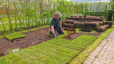 Bahar bahçesine çimen döşeyen ve şakayık toplamak için çim biçen bir adam. İsveç.