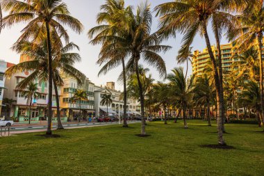 Palmiye ağaçları ve Art Deco binaları akşam saatlerinde Miami 'de Ocean Drive boyunca altın güneş ışığı altında. Miami Plajı. ABD. 