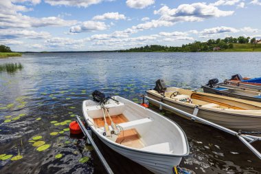 Motorlu tekneler su zambakları, sazlıklar, uzak ormanlar ve bulutlu gökyüzü ile sakin göle yanaştı.. 