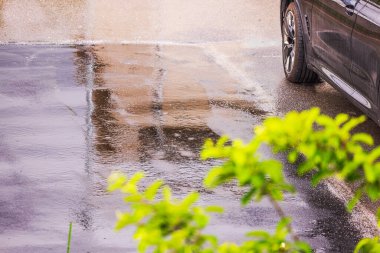 Yağmurda ıslak asfalt üzerine park edilmiş siyah bir araba. Önünde bulanık yeşil dallar var. İsveç.