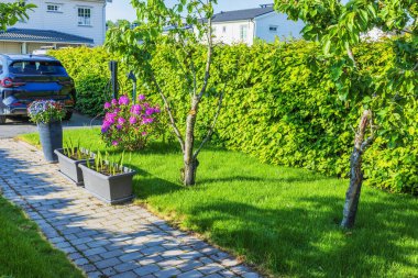 Bahçedeki villada çiçek açan rhododendron ve kiraz ağaçları olan şarj istasyonunun yakınındaki park edilmiş elektrikli araba. İsveç.