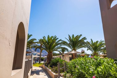 Uzun palmiye ağaçları olan güneşli bir otel bahçesi ve dağ manzarası ve mavi gökyüzü karşısında zakkum çalıları. Yunanistan. Kos.