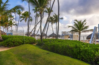 Dominik Cumhuriyeti 'nde Atlantik Okyanusu manzaralı Karayip sahillerinde palmiye ağaçları ve kabinler. Punta Cana.