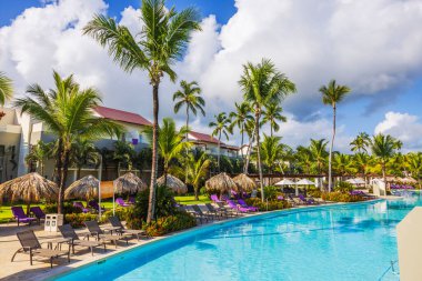 Palmiye ağaçları, güneş pansiyonları ve şemsiyeli lüks yüzme havuzu. Dominikli. Punta Cana. 
