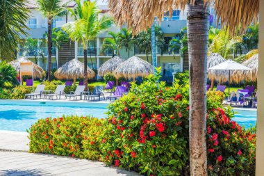 Turistler palmiye ağaçları, çiçekler ve şemsiyelerle tatil köyü havuzunda dinleniyorlar. Dominik Cumhuriyeti. Punta Cana. 