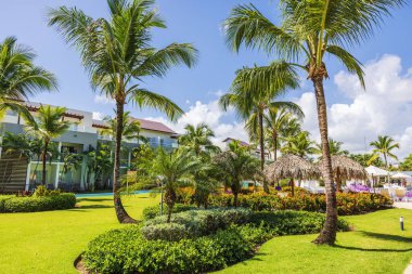 Palmiye ağaçları, yeşil çimenler ve sazdan şemsiyeleri olan tropik bir tatil köyü. Dominik Cumhuriyeti. Punta Cana. 