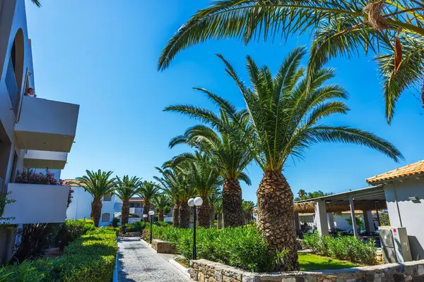 Palmiye ağaçlarının ve otelin balkonlarının güzel manzarası. Üzerinde taş kaldırım ve mavi gökyüzü arka planında yeşil çalılar var. Kos. Yunanistan. 