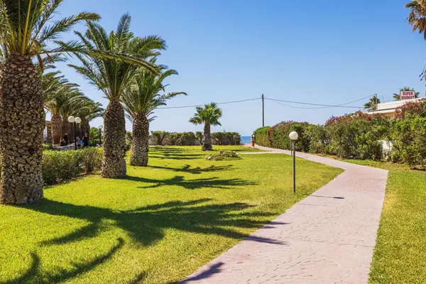 Güzel palmiye ağaçları manzarası ve yeşil çimenlikte yürüyüş yolu. İnsanlar ve güneşli tatil köylerinde deniz manzarası. Kos. Yunanistan.