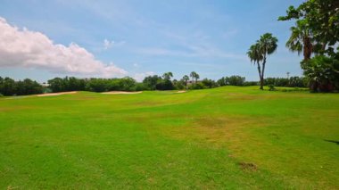Yeşil çimenli golf sahası ve mavi gökyüzüne karşı beyaz bulutlu palmiye ağaçları. Aruba.