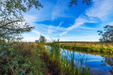 Sonbahar nehri, arka planında uzun çimenler ve ağaçlar olan mavi gökyüzü ve huzurlu kırsal alanda beyaz bulutlar. İsveç.