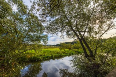 Güzel sonbahar nehir manzarası yeşil ağaçlar ve çimenler bulutlu gökyüzünün arka planında su yüzeyine yansıyor. İsveç.