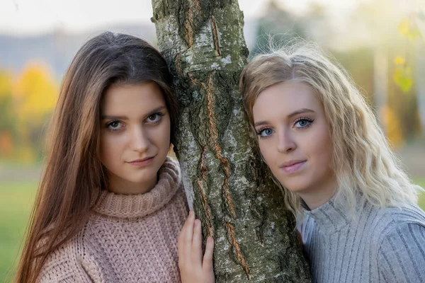 Portret Van Twee Mooie Meisjes Die Poseren Voor Camera Het — Stockfoto