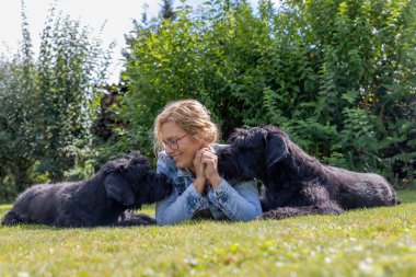 Kadın dışarıda iki Big Schnauzer köpeğiyle poz veriyor..
