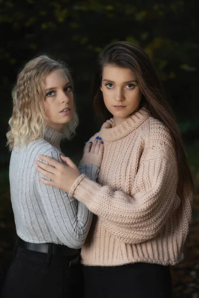 Portret Van Twee Mooie Meisjes Die Elkaar Vasthouden Verticaal — Stockfoto