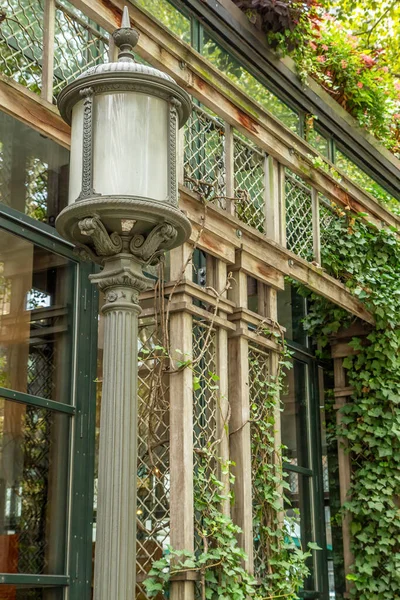Old Lamp Ivy Covered Entrance Building Vertically — Stock Photo, Image