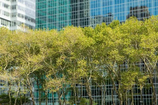 브라이언트 공원의 나무들 건물의 배경을 이루고 — 스톡 사진