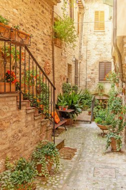 Spello köyündeki İtalyan taş evlerinin manzarası. Umbria. İtalya. Umbria. İtalya