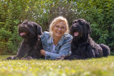 Woman dressed in a denim jacket is lying with two Big Schnauzer dogs outdoors. Horizontally. 