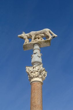 Romulus ve Remus 'u besleyen Siena Sienna Kurt Heykeli. Siena, Toskana, İtalya 'nın sembolü.