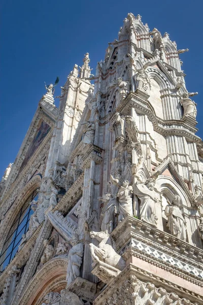 Вид Сбоку Фасад Сиенского Собора Сиена Италия — стоковое фото