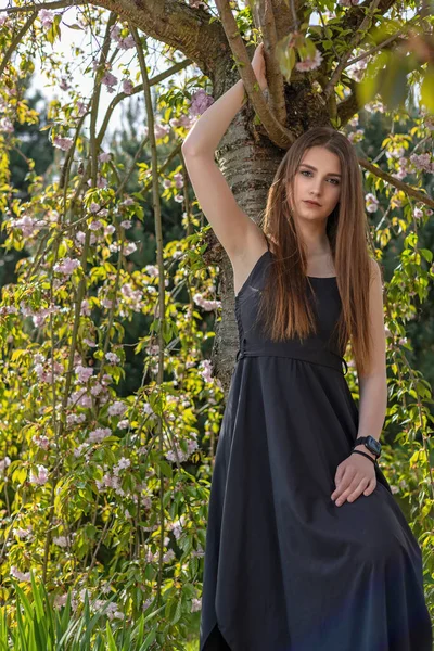 Siyah elbiseli çekici uzun saçlı esmer kız Sakura ağacının yanındaki kamerada poz veriyor. Dikey. 