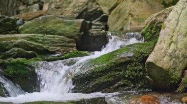 Nehir kıyısı ve kayalar arasında akan suyun güzel manzarası. Su arkaplanı. 