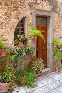 Çağdaş ahşap kapı tasarımı, saksıdaki çiçeklerle süslenmiş. Dikey. 