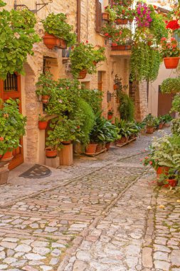 Perugia 'nın geleneksel ortaçağ şehri Spello' da çiçek sokakları. Umbria bölgesi