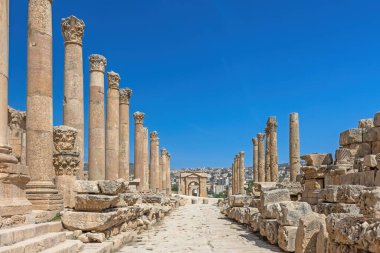 Cardo. Gerasa 'nın (Jerash) sütunlu sokakları Yakın Doğu' nun en iyi korunmuş sokakları arasındadır.. 