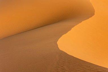 Kum tepeciğinin yakın görüntüsü. Doğal arkaplan.