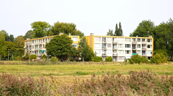 荷兰的公寓楼 前面的草地 — 图库照片