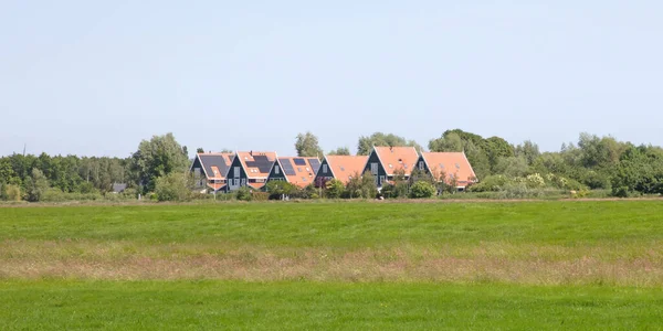 Rij Traditionele Houten Huizen Landbouwlandschap Bij Leeuwarden Nederland — Stockfoto