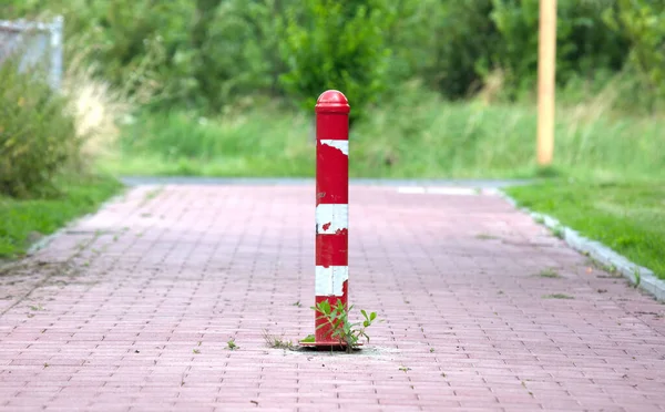 Красный Столб Посреди Велосипедной Дорожки Нидерланды — стоковое фото