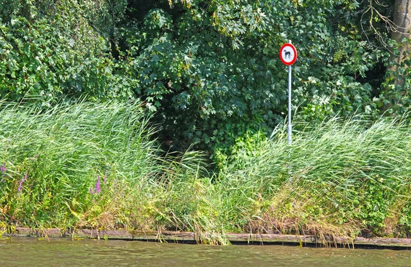 Sign Dogs Swimming Entering Nature Reserve Netherlands Stock Picture