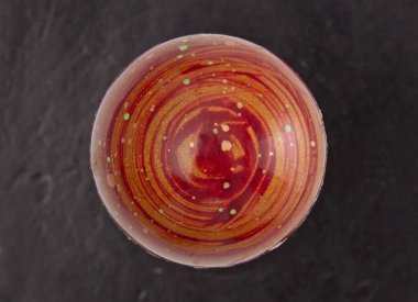 Modern gurme bonbon, nam-ı diğer bon-bon veya çikolatadan yapılmış mantar, izole edilmiş.