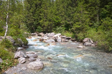 İtalya 'nın kuzeyindeki dağ deresi, Dolomitler