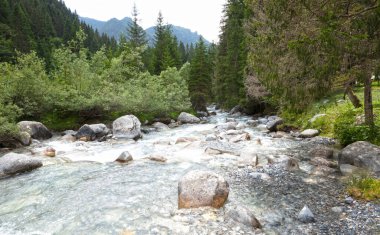 İtalya 'nın kuzeyindeki dağ deresi, Dolomitler
