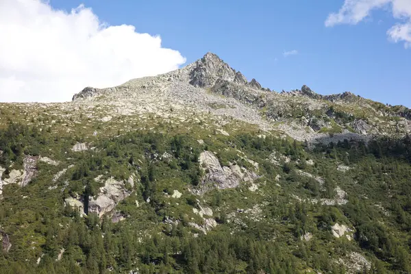 Typisk Över Dolomiterna Norra Italien Sommar — Stockfoto