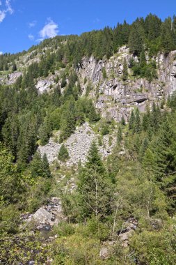 İtalya 'nın kuzeyindeki Dolomitlerin tipik manzarası, yaz mevsimi