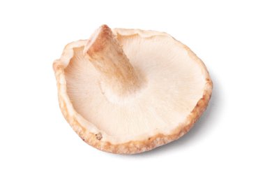 Beyaz arka planda izole edilmiş taze shiitake mantarları.