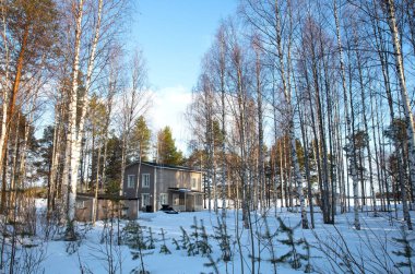 Finlandiya 'da uzak bir ev, donmuş gölün yanında, seçici odak noktası