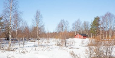 Finlandiya 'da kışın ahşap kulübe