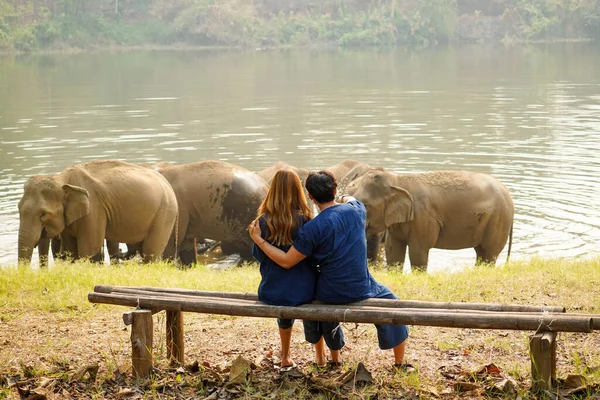 Vista Trasera Una Joven Pareja Mirando Una Manada Elefantes Asiáticos — Foto de Stock